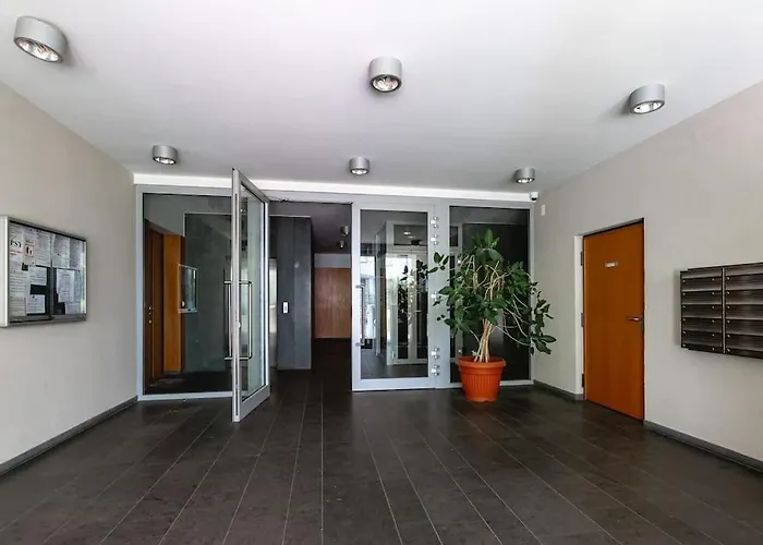 Bright And Cozy Apartment Near Park, With A Huge Terrace.